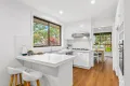 Property photo of 16 Iramoo Street Balwyn VIC 3103