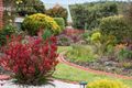 Property photo of 4 Irbys Circus Sisters Beach TAS 7321