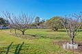 Property photo of 7 Forth Road Turners Beach TAS 7315