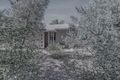 Property photo of 214 French Road Loxton SA 5333