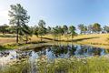Property photo of 145 Raynbird Road Narangba QLD 4504
