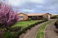 Property photo of 11 Daltons Road Warrnambool VIC 3280