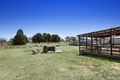 Property photo of 306 Falconer Street South Guyra NSW 2365