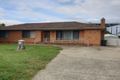 Property photo of 12 Owen Crescent Lyneham ACT 2602