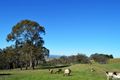 Property photo of 831 Jenolan Caves Road Good Forest NSW 2790