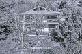 Property photo of 24 Bates Avenue Upper Ferntree Gully VIC 3156