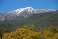 Property photo of 6 Mountain Rise Merrijig VIC 3723