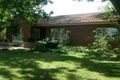 Property photo of 50 O'Donnell Street Cootamundra NSW 2590