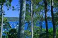 Property photo of 21 Riverview Road Avalon Beach NSW 2107