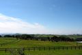 Property photo of 175 Nashs Road Deer Vale NSW 2453