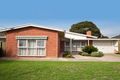 Property photo of 16 Kenton Street Lockleys SA 5032