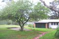 Property photo of 23 Jones Avenue Primbee NSW 2502