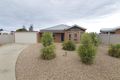 Property photo of 3 Begg Court Red Cliffs VIC 3496