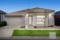 Property photo of 6 Vosges Way Truganina VIC 3029