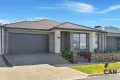 Property photo of 29 Adansonia Circuit Mickleham VIC 3064