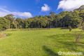 Property photo of 163 Curtis Road Tamborine Mountain QLD 4272