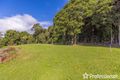 Property photo of 163 Curtis Road Tamborine Mountain QLD 4272