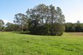Property photo of 27 Smith Drive Mooloolah Valley QLD 4553