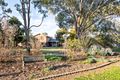 Property photo of 359 River Drive Narromine NSW 2821