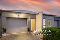 Property photo of 1B Hillary Avenue Morphettville SA 5043