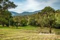 Property photo of 13 View Road Yarra Junction VIC 3797