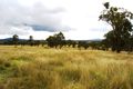 Property photo of 1147 Retreat Road Balala NSW 2358