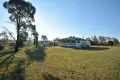 Property photo of 19 Oestreich Road Wellcamp QLD 4350