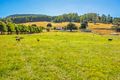 Property photo of 1772 South Riana Road Gunns Plains TAS 7315