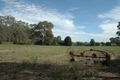 Property photo of 233 Maryborough-St Arnaud Road Alma VIC 3465