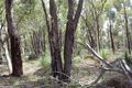 Property photo of LOT 226 Jacaranda Close Chittering WA 6084