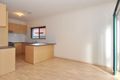 Property photo of 12 Wilpena Avenue Klemzig SA 5087
