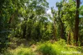 Property photo of LOT 2 Gorge View Crescent Mossman Gorge QLD 4873