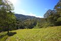 Property photo of 265B Bundewallah Road Bundewallah NSW 2535