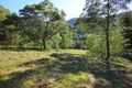 Property photo of 265B Bundewallah Road Bundewallah NSW 2535