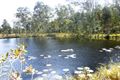 Property photo of 81 Lake Flat Road Boreen Point QLD 4565