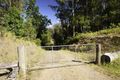Property photo of 1036 Aherns Road Conondale QLD 4552