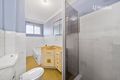 Property photo of 60 McBurney Road Cabramatta NSW 2166