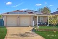 Property photo of 4 Webb Place Minto NSW 2566