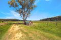 Property photo of 315 Jilliby Road Jilliby NSW 2259