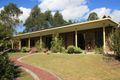 Property photo of 5 Figtree Drive Casino NSW 2470