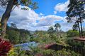 Property photo of 27 Leopard Avenue Elanora QLD 4221