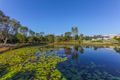 Property photo of 4 Picnic Creek Drive Coomera QLD 4209