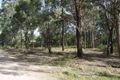 Property photo of 291 Bundabah Road Bundabah NSW 2324