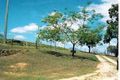 Property photo of 23 John Street Rathdowney QLD 4287