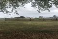 Property photo of 20 Traralgon-Maffra Road Tinamba VIC 3859