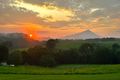 Property photo of 4532 Black Mountain Road Julatten QLD 4871