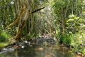 Property photo of 4532 Black Mountain Road Julatten QLD 4871