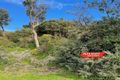 Property photo of 172 Jupiter Boulevard Venus Bay VIC 3956