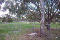 Property photo of 151 Fairview Road Clunes VIC 3370