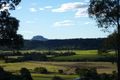 Property photo of 544 Petrie Creek Road Rosemount QLD 4560